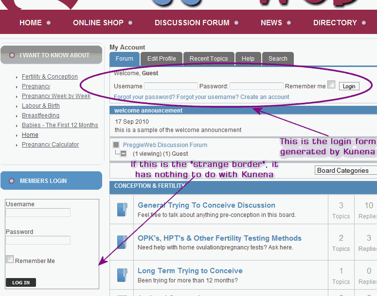 login_forms.gif